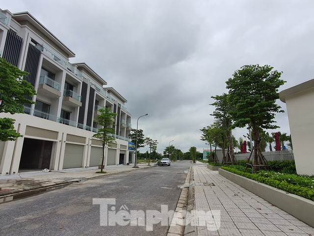 Dabaco và Cenland liên kết thế nào tại dự án Vườn Sen? Dabaco va Cenland lien ket the nao tai du an Vuon Sen?