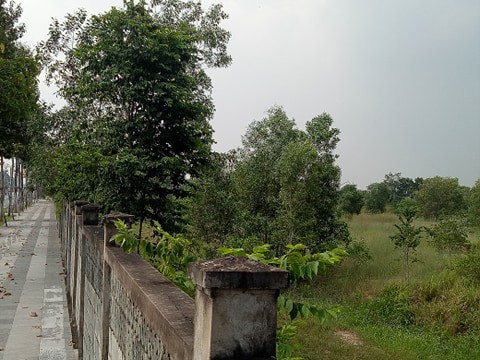 Vụ chuyển nhượng 145 ha đất công: Sân golf hoạt động trước ngày giao đất? - Hình 6 Vu chuyen nhuong 145 ha dat cong: San golf hoat dong truoc ngay giao dat?-Hinh-6