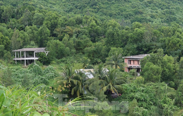 Cận cảnh những dự án băm nát Sơn Trà đang hoang tàn - Hình 10 Can canh nhung du an bam nat Son Tra dang hoang tan-Hinh-10