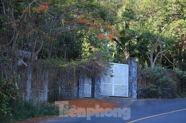 Can canh nhung du an bam nat Son Tra dang hoang tan-Hinh-19