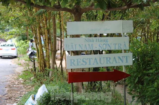 Can canh nhung du an bam nat Son Tra dang hoang tan-Hinh-13