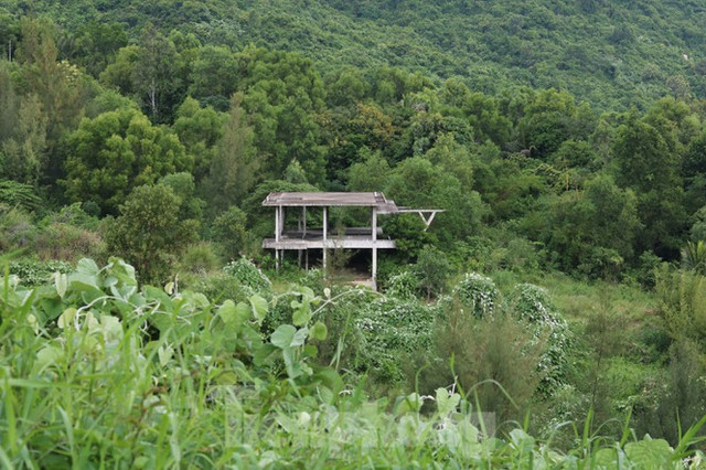 Cận cảnh những dự án băm nát Sơn Trà đang hoang tàn - Hình 11 Can canh nhung du an bam nat Son Tra dang hoang tan-Hinh-11