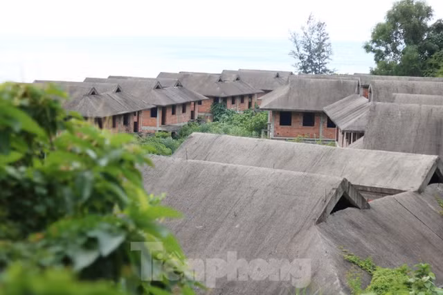 Can canh nhung du an bam nat Son Tra dang hoang tan-Hinh-9