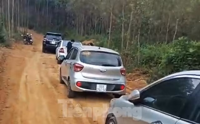 Chuyen gia BDS len tieng ve viec loat dia phuong tam dung phan lo, tach thua-Hinh-2