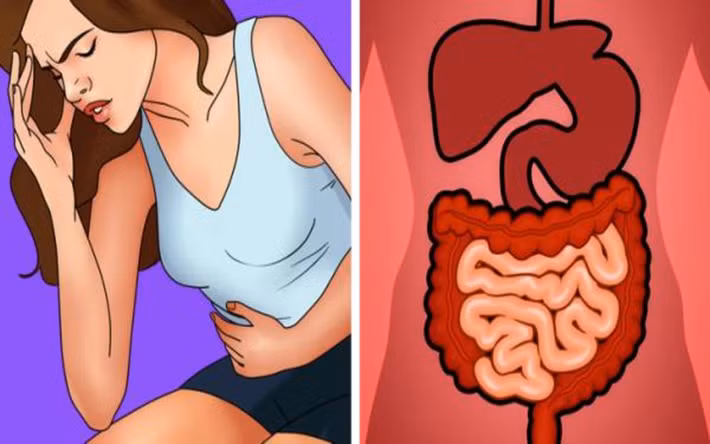 Táo bón: Khi bạn ăn uống, cơ thể vô tình tiêu thụ nhiều hóa chất đi kèm như chất bảo quản, chất tạo màu hay hương liệu nhân tạo. Sự tích tụ chất độc trên sẽ gây ra tình trạng đau dạ dày và táo bón.