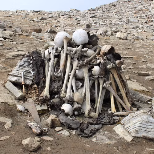 Ngay sau khi phát hiện những bộ hài cốt trên, các chuyên gia, nhà nghiên cứu đến hồ Roopkund để điều tra làm rõ danh tính, nguyên nhân tử vong... của những nạn nhân xấu số này. Kết quả nghiên cứu của các chuyên gia cho thấy khoảng 800 bộ xương người bên dưới hồ nước thuộc nhiều độ tuổi và giới tính khác nhau.