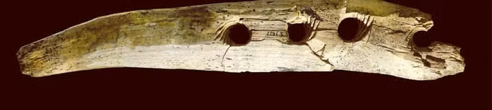 Theo các chuyên gia, công cụ làm từ ngà voi ma mút có niên đại 40.000 năm tuổi.