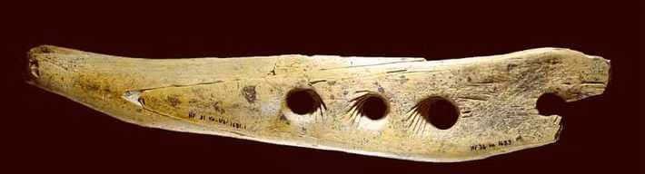 Công cụ có chiều dài 20 cm và có 4 lỗ thủng với những vết khắc xoắn ốc vô cùng tinh xảo.