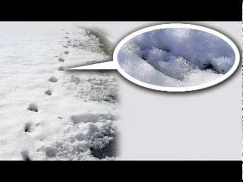 Một trong những bí ẩn kỳ quái khó lý giải nhất là "dấu chân của quỷ" xuất hiện ở Đông Devon, Anh vào tháng 2/1855.