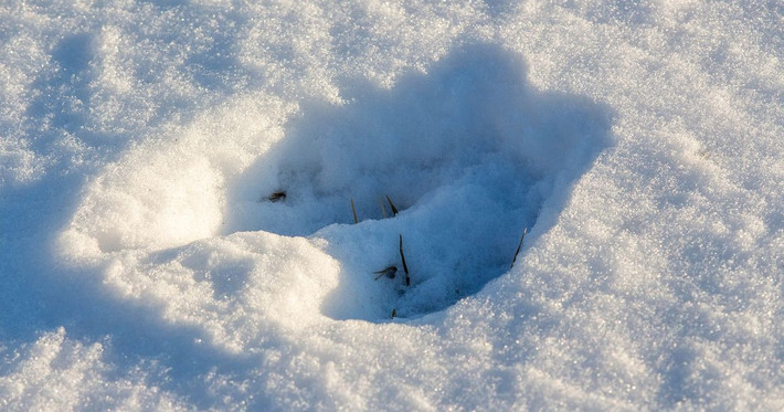 Số dấu chân này xuất hiện ở nhiều nơi từ mái nhà, ống nước cho đến những tường cao. Một số dấu chân biến mất một cách bí ẩn ở nơi hoang vu.
