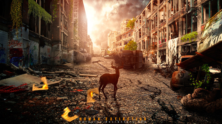 Động vật hoang dã như chó sói, linh dương, hải cẩu... sẽ phải tìm cách thích nghi với môi trường mới.