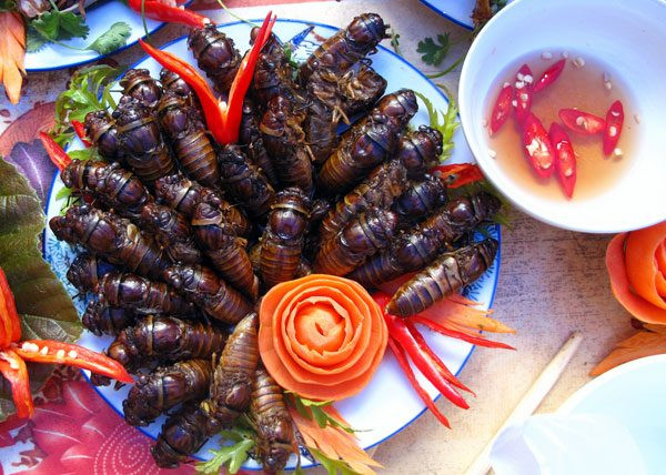 Ve sầu rán: Thoạt trông món ăn có vẻ sẽ khiến cho vài người cảm thấy hơi ghê sợ. Thế nhưng người Thái rất ưa chuộng và có cách chế biến riêng rất hấp dẫn. Những chú ve sầu mập ú sau khi cắt bỏ cánh và rút ruột thì được nhét một hạt đậu phộng vào bên trong bụng, sau đó tẩm ướp gia vị rồi đem chiên giòn.