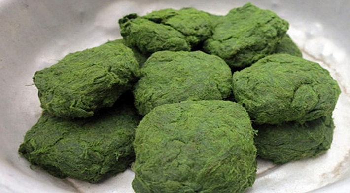 Rêu đá: Có thể nói đây là món ăn độc đáo của người dân Lai Châu. Rêu đá có thể chế biến thành nhiều món ngon khác nhau như là canh rêu, nộm rêu, rêu xào lá tỏi. Cầu kì hơn một chút chính là món rêu nướng ngon trứ danh. Rêu nướng có mùi thơm đặc biệt và cực kỳ tốt cho sức khỏe.