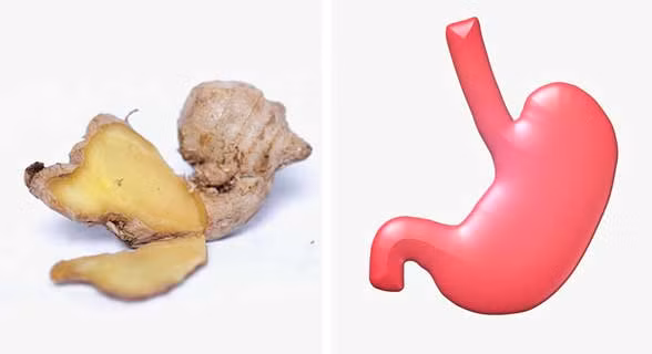 Gừng là loại thực phẩm giúp làm giảm viêm giống như các loại thuốc aspirin, ibuprofen... Ngoài ra, nó thúc đẩy lưu thông máu, hỗ trợ tiêu hóa, giúp hấp thụ được nhiều chất dinh dưỡng hơn. Gừng cũng ngăn ngừa khí và thư giãn các cơ ở đường ruột, giúp giảm đau dạ dày.