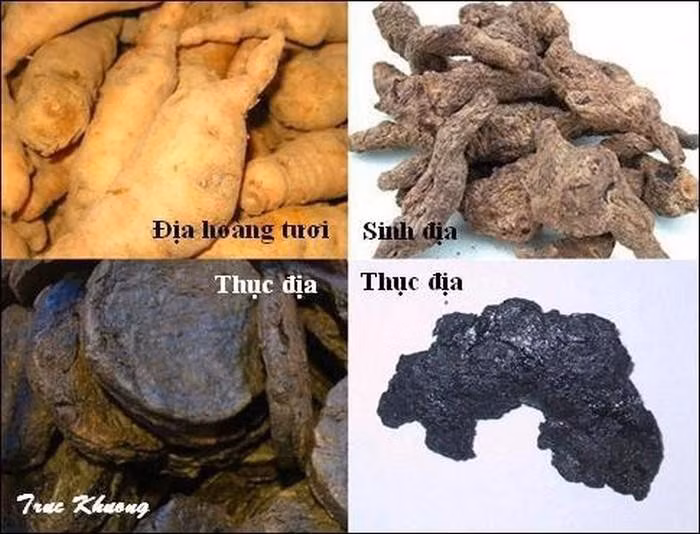 Các thôn nữ dùng cách đơn giản như vậy, còn các cung nữ thì lại lưu truyền bài thuốc giúp vòng 1 nảy nở là dùng thục địa, gừng khô, đảng sâm, mạch nha vào nồi sắc lấy nước. Kẹo mạch nha đem chưng cho tan và pha với nước uống 3 lần/ngày.