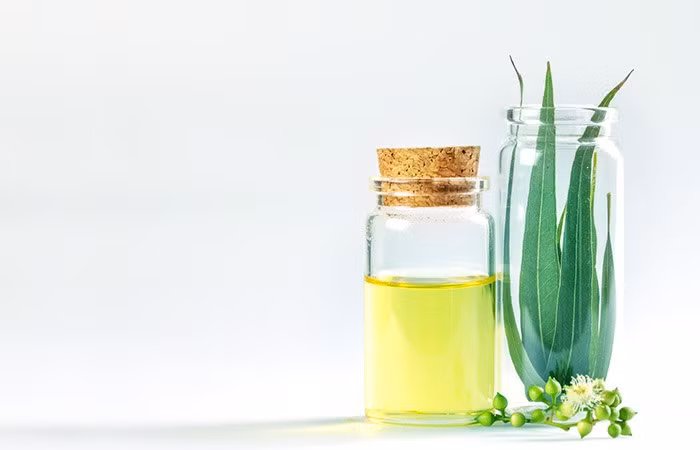 Tinh dầu khuynh diệp. 2-3 giọt tinh dầu khuynh diệp, 2-3 giọt dầu dừa, thoa hỗn hợp này lên da đầu rồi để 30-45 phút sau đó gội sạch đầu với nước. Thực hiện 2-3 lần/tuần.