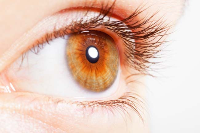 Tăng cường thị lực: Nhiều loại salad giúp cải thiện thị lực, ví dụ như salad rau chân vịt, rau xà lách và rau diếp tím. Tổ hợp trên cung cấp carotenoid, vitamin A, lutein và zeaxanthin, các chất này bảo vệ cơ thể khỏi gốc tự do.