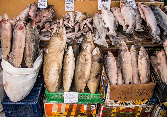 Khu chợ ở nơi lạnh nhất thế giới này thường bày bán rất ít thực phẩm tươi, chủ yếu là cá và thịt.