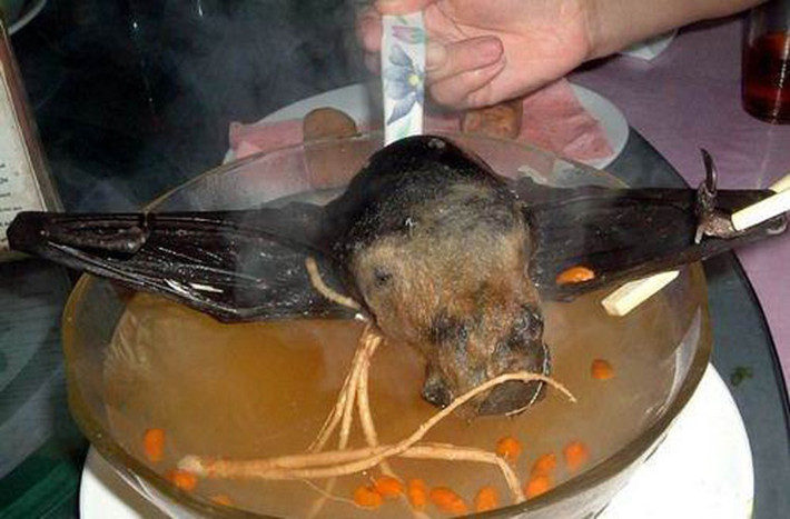 Món súp dơi được đánh giá rất nguy hiểm và có thể gây tử vong nếu không được nấu chín đúng cách. Các ký sinh trùng và mầm bệnh trong thịt dơi sẽ khiến người ăn dễ nhiễm các bệnh nguy hiểm như là Alzheimer và Parkinson.