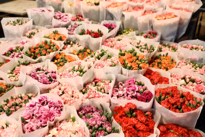 Muôn hoa khoe sắc làm say đắm những người yêu hoa.