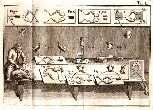 Mục đích thí nghiệm là nhằm hồi sinh xác chết bằng dòng điện. Những thí nghiệm hãi hùng như thế này được nhà triết học về tự nhiên Giovanni Aldini (Italy) thực hiện.