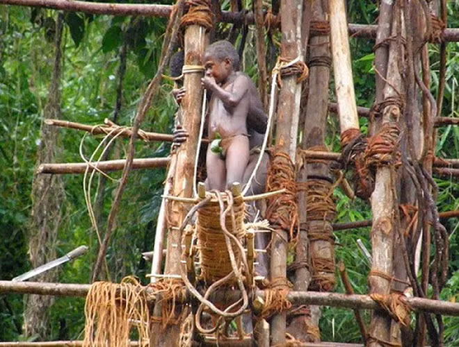 Trước ngày diễn ra nghi lễ, người ta dùng các thanh gỗ và gậy mây dựng thành một giàn giáo cao khoảng 30 m. Khi bắt đầu, những chàng trai tự buộc dây vào chân, đứng từ đỉnh cao nhất và tiếp đất bằng cú nhảy có tên gọi "Naghol".