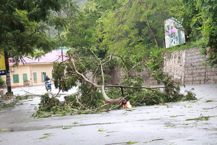 Theo Trung tâm dự báo Khí tượng thủy văn Trung ương, Ở khu vực Vịnh Bắc Bộ (bao gồm các huyện đảo Bạch Long Vĩ, Cô Tô, Cát Hải, Vân Đồn) trong sáng nay còn có gió mạnh cấp 6-7, giật cấp 8. Biển động mạnh.