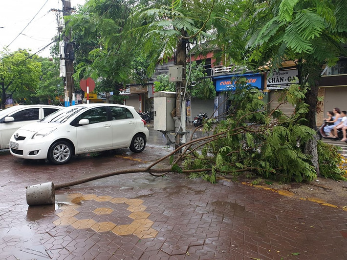Cành cây ngổn ngang trên đường do ảnh hưởng cơn bão số 2 Mun.
