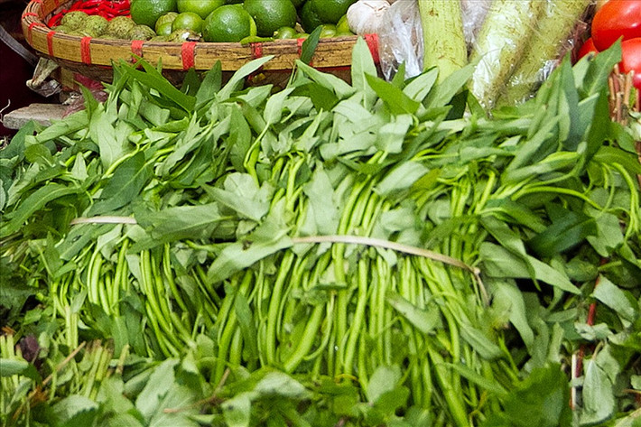 Đối với rau muốn, đa số mọi người sau khi nhặt đều chỉ rửa trực tiếp qua nước sạch vài lần rồi cho vào nồi bắt đầu nấu. Thực tế với cách làm này, ký sinh trùng trong rau muống vẫn tồn tại và trực tiếp vào dạ dày rất dễ dàng.