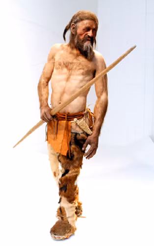 Xác ướp này được giới khoa học đặt tên là Otzi để tiện cho việc nghiên cứu. Theo các chuyên gia, xác ướp người băng Otzi thuộc về một người đàn ông khoảng 45 tuổi và sống trong thời kỳ đồ đồng.