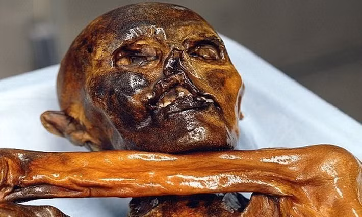 Ngày 19/9/1991, các nhà leo núi thám hiểm dãy Alps phát hiện xác ướp Otzi. Thi hài được bảo quản nguyên vẹn trong sông băng suốt nhiều thế kỷ. Theo đó, khi băng tan, xác ướp băng giá này mới lộ diện.