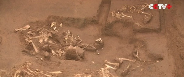 Trong số những hiện vật được tìm thấy, nổi bật nhất là tượng con lạc đà bằng vàng.