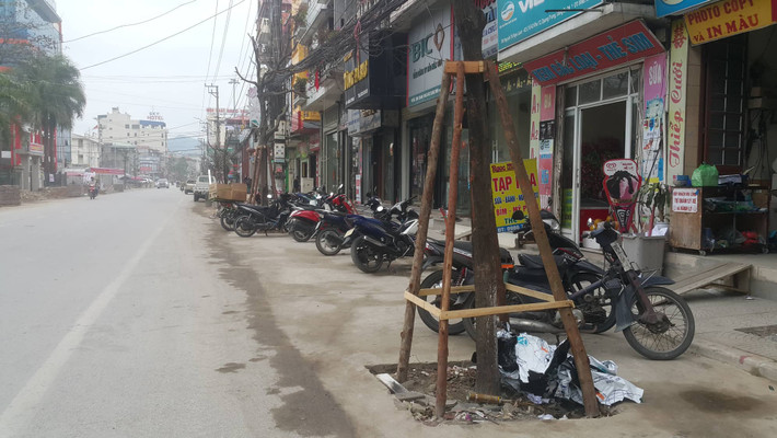 Hàng cây xanh đô thị được trồng trên khoảng rộng 2 mét được đổ bê tông tiếp giáp ngay giữa lòng đường và khu vực vỉa hè.