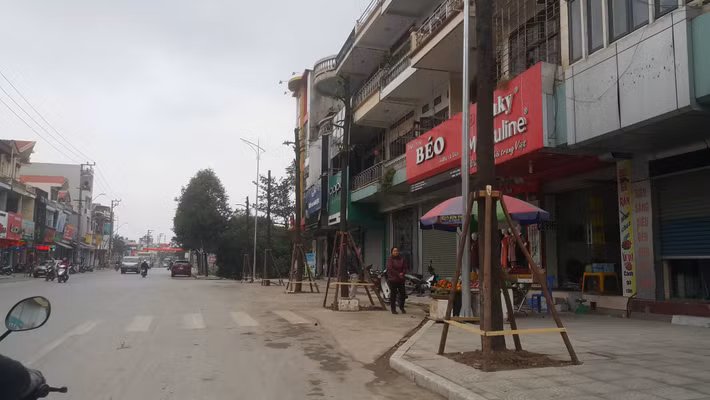 Hiếm hoi lắm mới có một cây xanh được trồng trên vỉa hè.