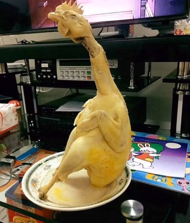 Sinh ra là gà cúng nhưng lại mang vóc dáng của hươu cao cổ.