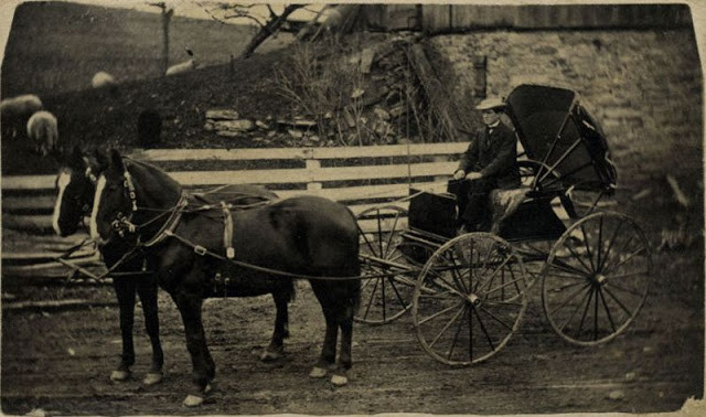 Ronald S. Coddington sử dụng máy ảnh và chụp được nhiều bức ảnh về cuộc sống của người dân Mỹ những năm 1800. Số ảnh này được lưu giữ cẩn thận và tồn tại đến ngày nay giúp công chúng phần nào hiểu được về cuộc sống của dân Mỹ khi ấy. Trong ảnh là một người đàn ông Mỹ ăn mặc chỉn chu, lịch sử ngồi trên cỗ xe do 2 con ngựa kéo.