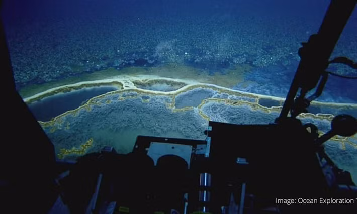 Khi phát hiện hồ muối lớn này, các chuyên gia vô cùng kinh ngạc và bất ngờ. Kể từ đó, họ tiến hành một số nghiên cứu và phát hiện nhiều bí mật thú vị.