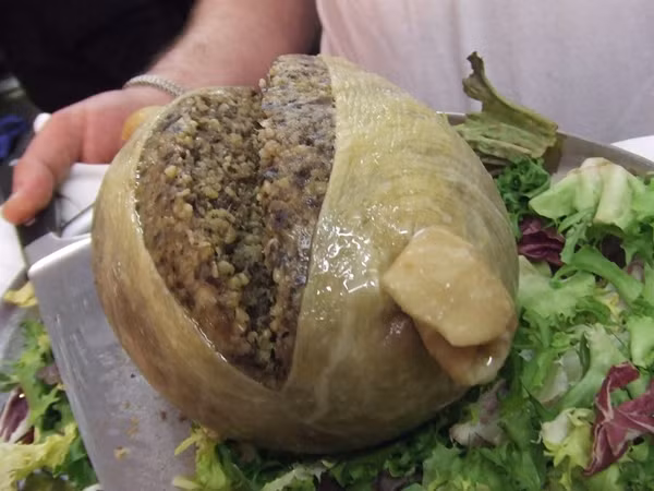 Haggis là món ăn cực dị và nổi tiếng của xứ Scotland. Nó là một dạng xúc xích đặc biệt với thành phần bao gồm thịt xay, bột yến mạch, hành, muối và một ít gia vị. Theo truyền thống, hỗn hợp này sẽ được nhồi trong bao tử cừu.