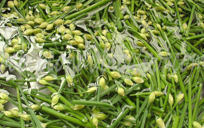 Rau hẹ: Từ thời Xuân Thu Chiến Quốc, rau hẹ đã bắt đầu được Trung y sử dụng như một loại dược liệu để phòng và chữa bệnh. Ngoài ra, rau hẹ còn là một loại thực phẩm giúp bồi bổ dương khí và có công dụng dưỡng sinh đặc biệt tốt trong dịp đầu xuân.