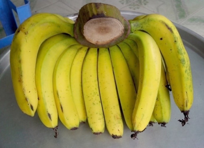 Quả chuối chín tự nhiên sẽ có hình dạng căng tròn, vỏ hơi nhăn, trên thân lác đác vết thâm đen, độ chín trải dài từ cuống tới chóp quả, cuống hơi héo một chút.