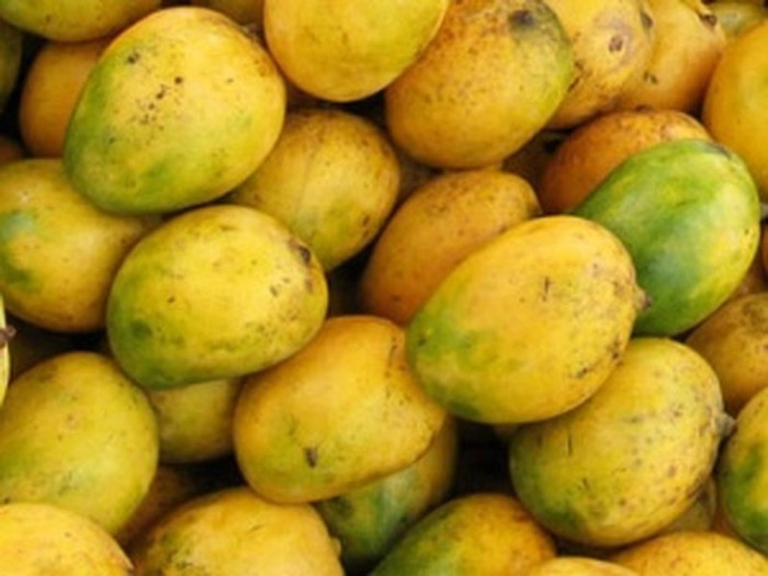 Xoài ngâm hóa chất thường có vết đốm trên da, nhiều chỗ thâm đen, cuống cũng héo đen.