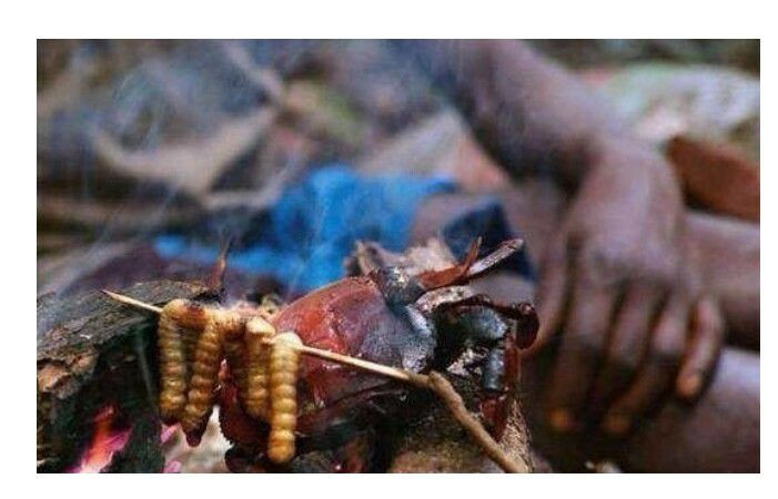 Ngoài ốc sên và dơi thì sâu nướng cũng là một món đặc sản ở châu Phi. Những con sâu béo múp chứa nhiều protein là nguyên liệu rẻ tiền nhưng vô cùng bổ dưỡng.
