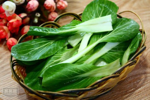 Trị bệnh hoại huyết: Dùng cải thìa tươi hoặc khô nấu ăn như rau tươi để đảm bảo dinh dưỡng bình thường và phòng chống bệnh hoại huyết.