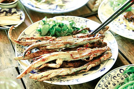 Tuy nhiên, theo chia sẻ của bác sĩ thì thằn lằn có rất ít thịt nên giá trị dinh dưỡng không nhiều. Nếu so sánh về dinh dưỡng thì thịt cóc còn bổ dưỡng hơn. Do vậy, bác sĩ cho rằng không nên khuyến khích việc ăn thịt thằn lằn bởi loài này bản chất ăn côn trùng như ruồi, muỗi, trong khi hiện có rất nhiều loại thực phẩm bổ dưỡng khác an toàn hơn.