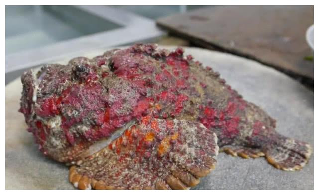 Cá đá không phải là loài cá bình thường, chúng có độc tính được đánh giá là một trong những loại độc mạnh nhất thế giới.