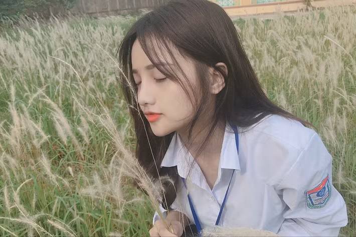 Cư dân mạng còn gọi cô là "thiên thần đồng phục" hay "cô gái năm đó chúng ta cùng theo đuổi".