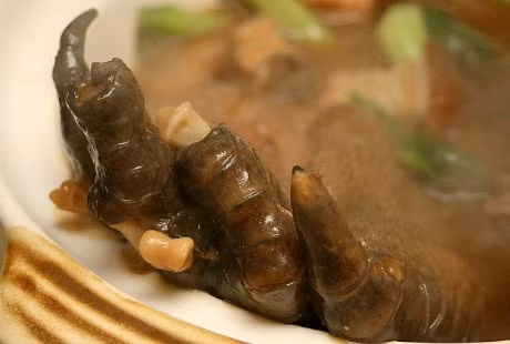 Rất nhiều người cho rằng ăn những động vật bò sát như cá sấu rất tốt cho sức khỏe vì nó cải thiện sự trao đổi chất, tăng khả năng miễn dịch và ham muốn tình dục. Có lẽ bởi vậy mà món này được người bản địa cực kỳ ưa chuộng.