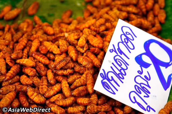 Trước đây, việc dùng côn trùng để làm thức ăn chỉ phổ biến ở các tỉnh Đông bắc nghèo của Thái Lan. Nhưng cùng với làn sóng người di cư từ nông thôn ra thành phố trong thời kỳ bùng nổ kinh tế cuối những năm 80, đầu những năm 90 của thế kỷ trước, những món ăn chế biến từ côn trùng được họ mang theo.