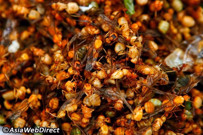 Đối với khách du lịch đến Thái Lan, ban đầu họ thường kinh sợ khi chứng kiến những con côn trùng sống được chế biến chín.