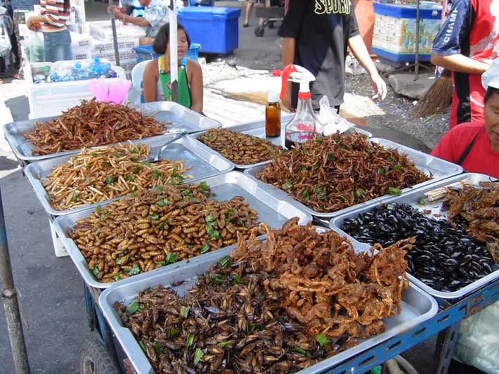 Đối với những người dân Thái Lan thì côn trùng chiên là một món ăn khoái khẩu nhưng lại là món ăn kinh dị với du khách nước ngoài.